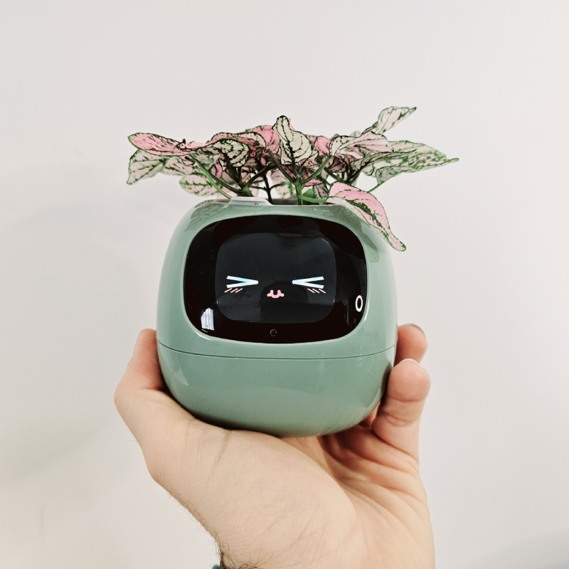 Pot connecté Ivy