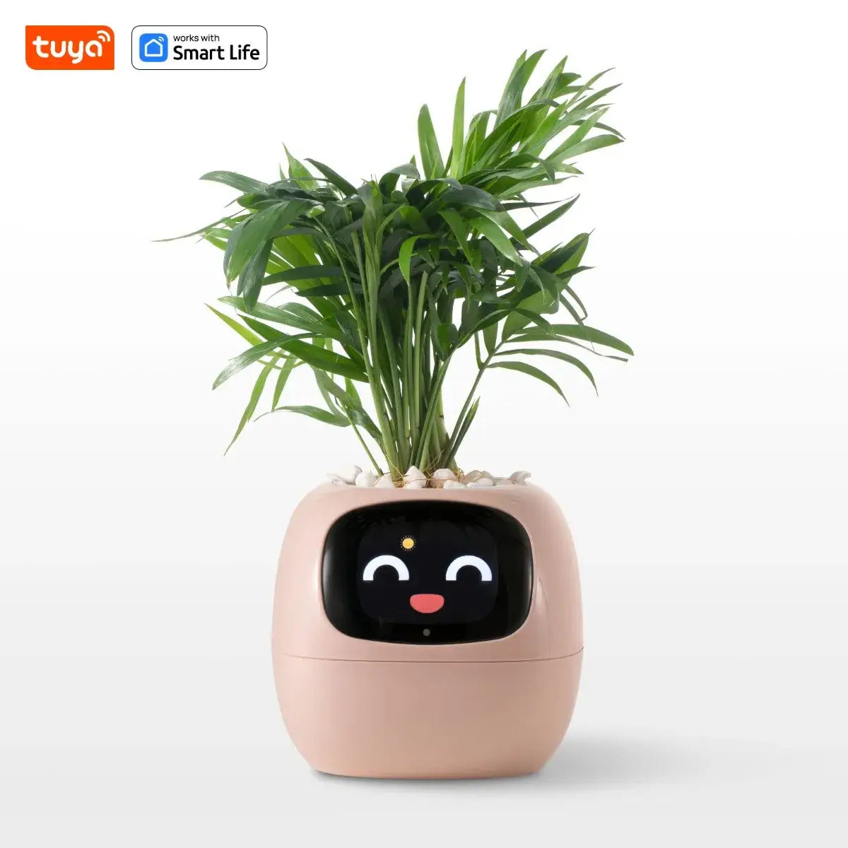 Tuya Ivy Smart Planter,Endless Fun over 49 Rich Expressions,7 Smart Sensors,Ai Chips Make Raising Plants Easy and Fun
