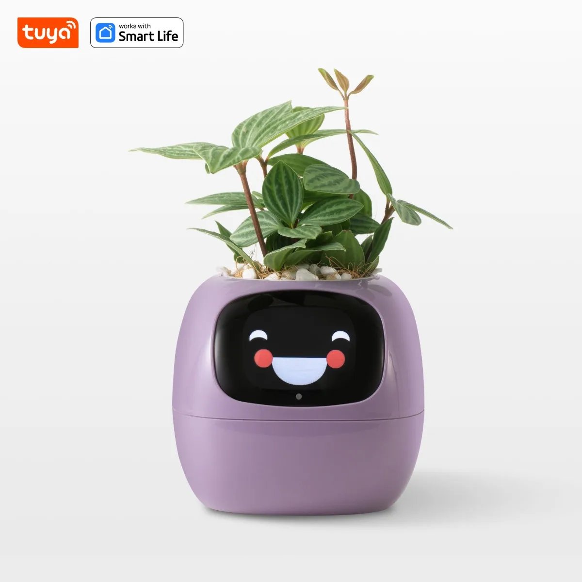 Tuya Ivy Smart Planter,Endless Fun over 49 Rich Expressions,7 Smart Sensors,Ai Chips Make Raising Plants Easy and Fun
