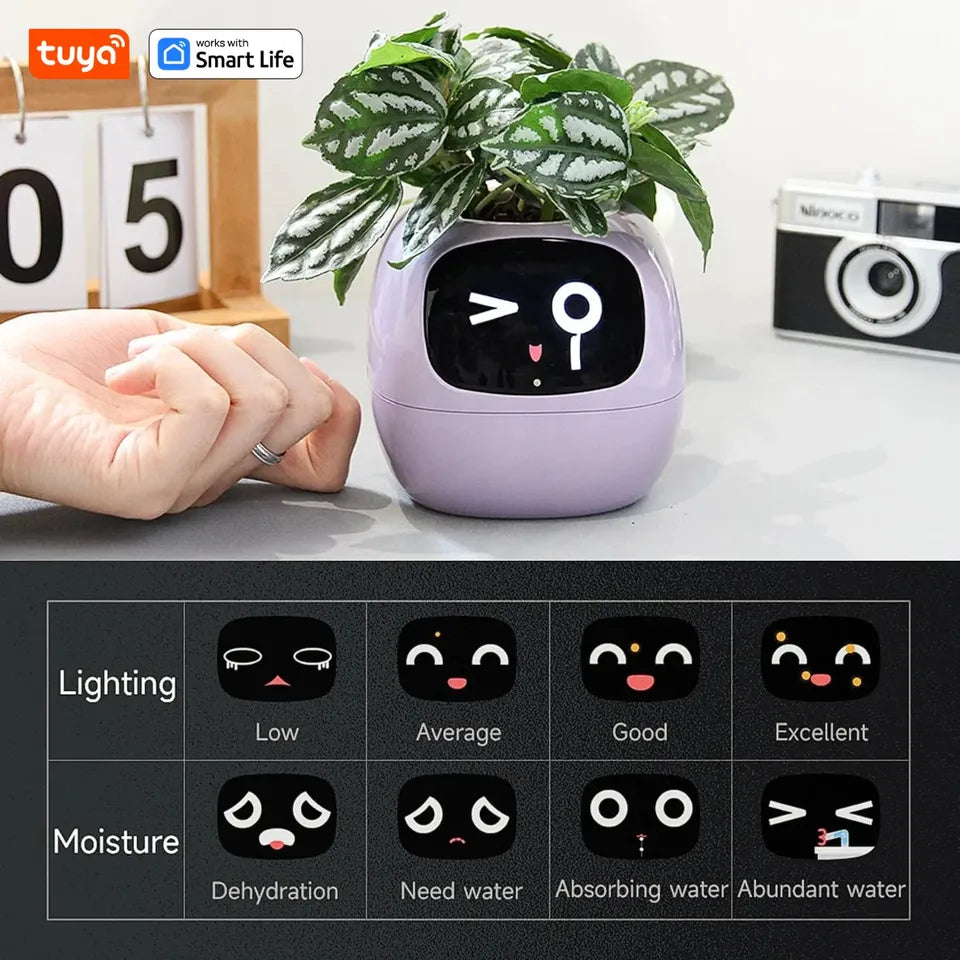 Pot de fleurs rechargeable par USB
