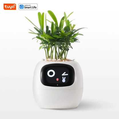 Tuya Ivy Smart Planter,Endless Fun over 49 Rich Expressions,7 Smart Sensors,Ai Chips Make Raising Plants Easy and Fun